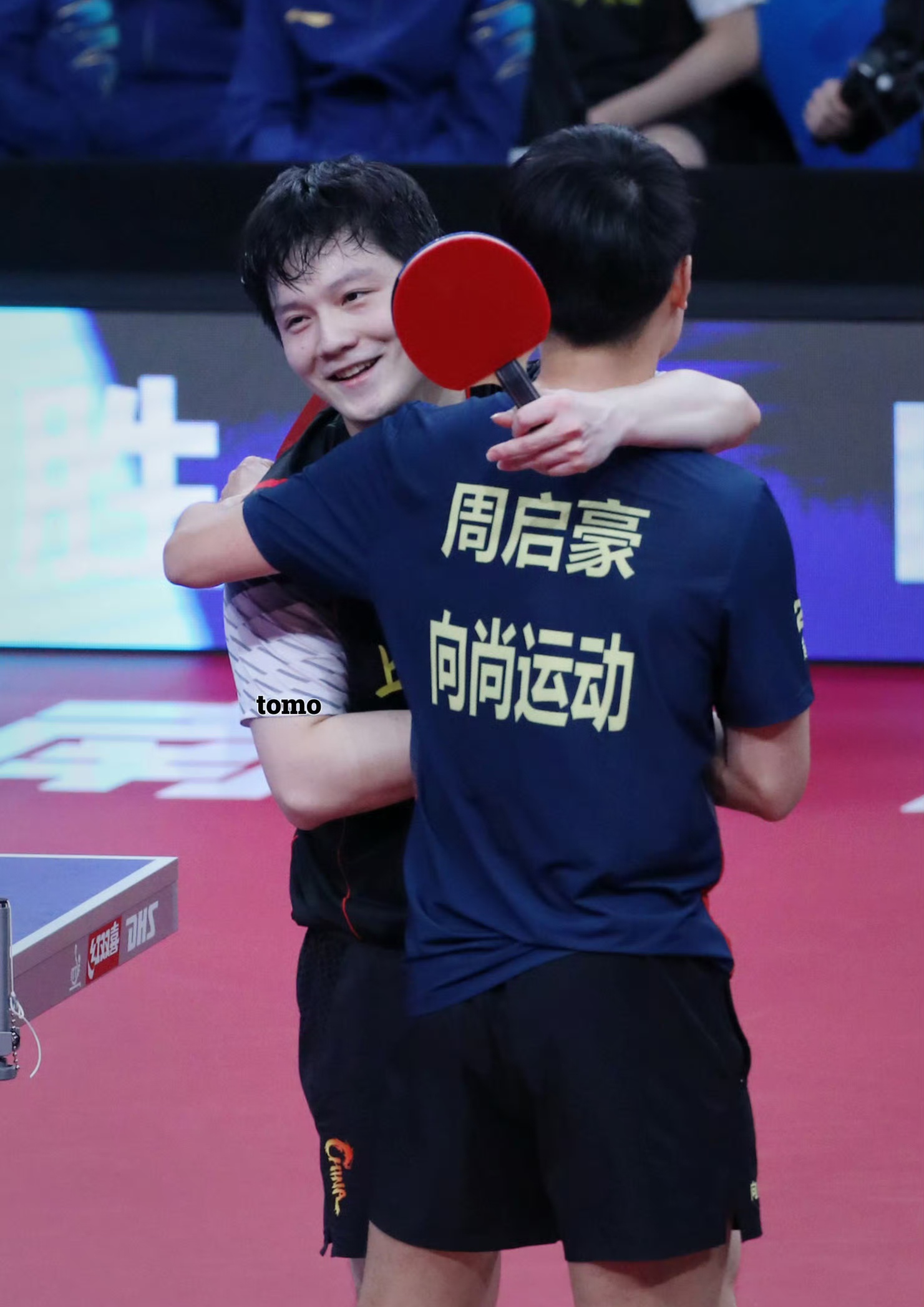 包含日本乒乓球队血洗法国乒乓球队，樊振东惊艳世界的词条