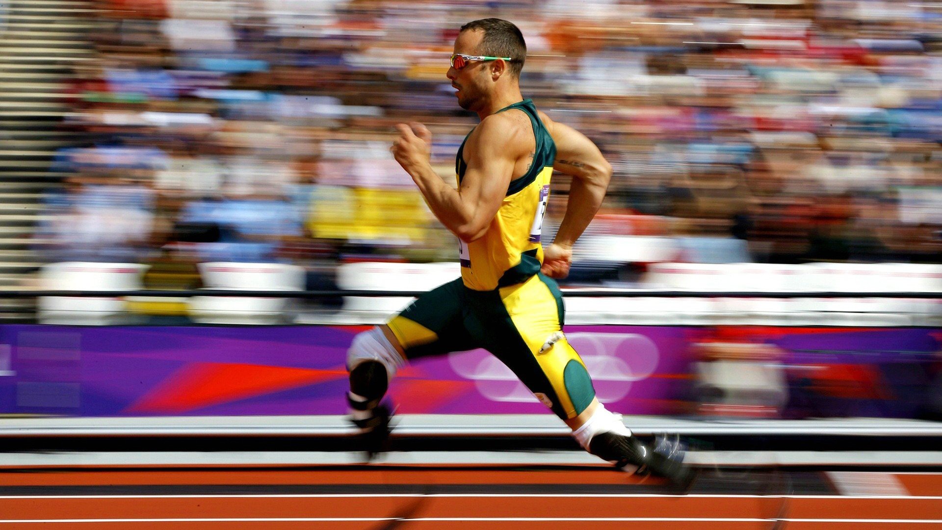 跨越时空的赛场主宰，从范弗利特接管欧冠到新疆队终结山西