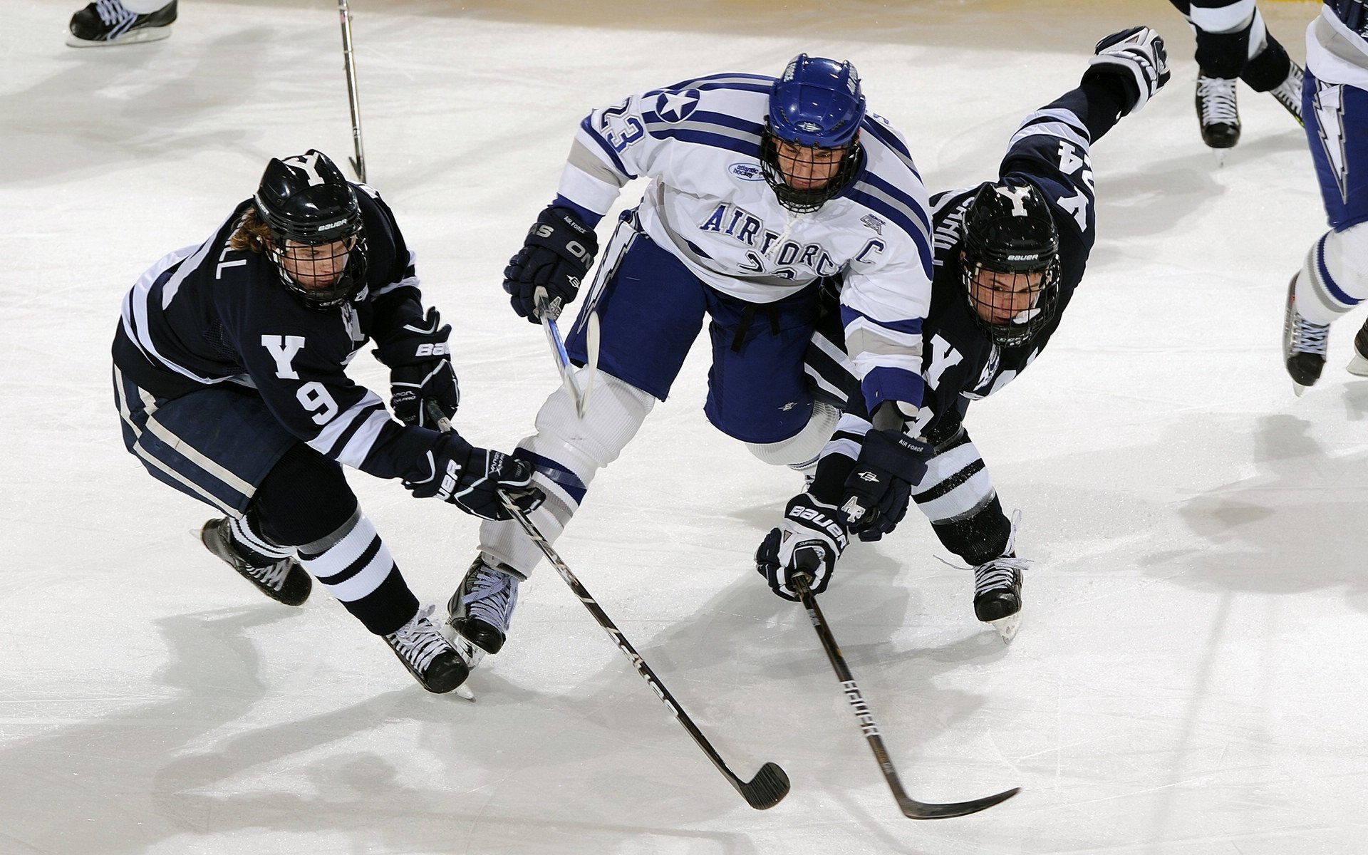 骑士关键战突围浙江队，切特高光表现改写比赛格局